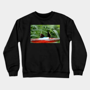 Party At The Feeder Crewneck Sweatshirt